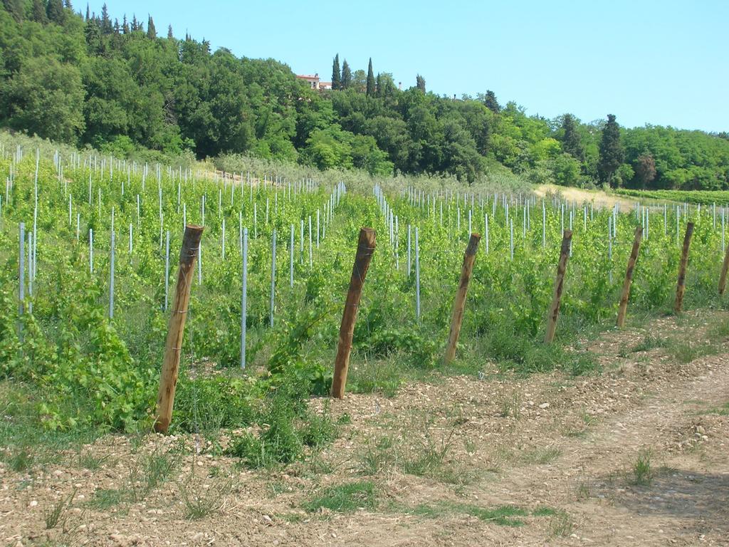 Podere Ghiole Montespertoli Exterior photo